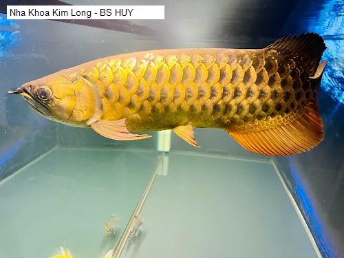 Hình ảnh Nha Khoa Kim Long - BS HUY