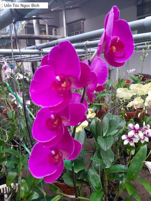 Hình ảnh Uốn Tóc Ngọc Bích